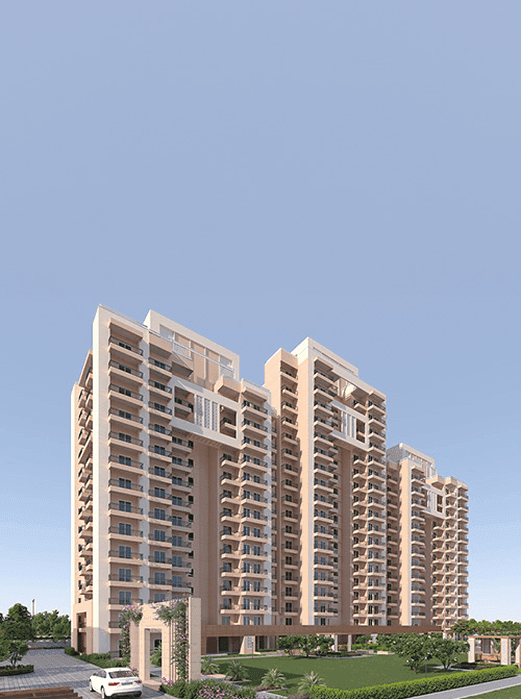 Ashiana Mulberry Blossom