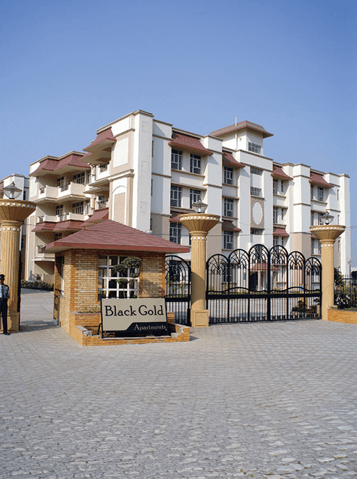 Black Gold Apartment