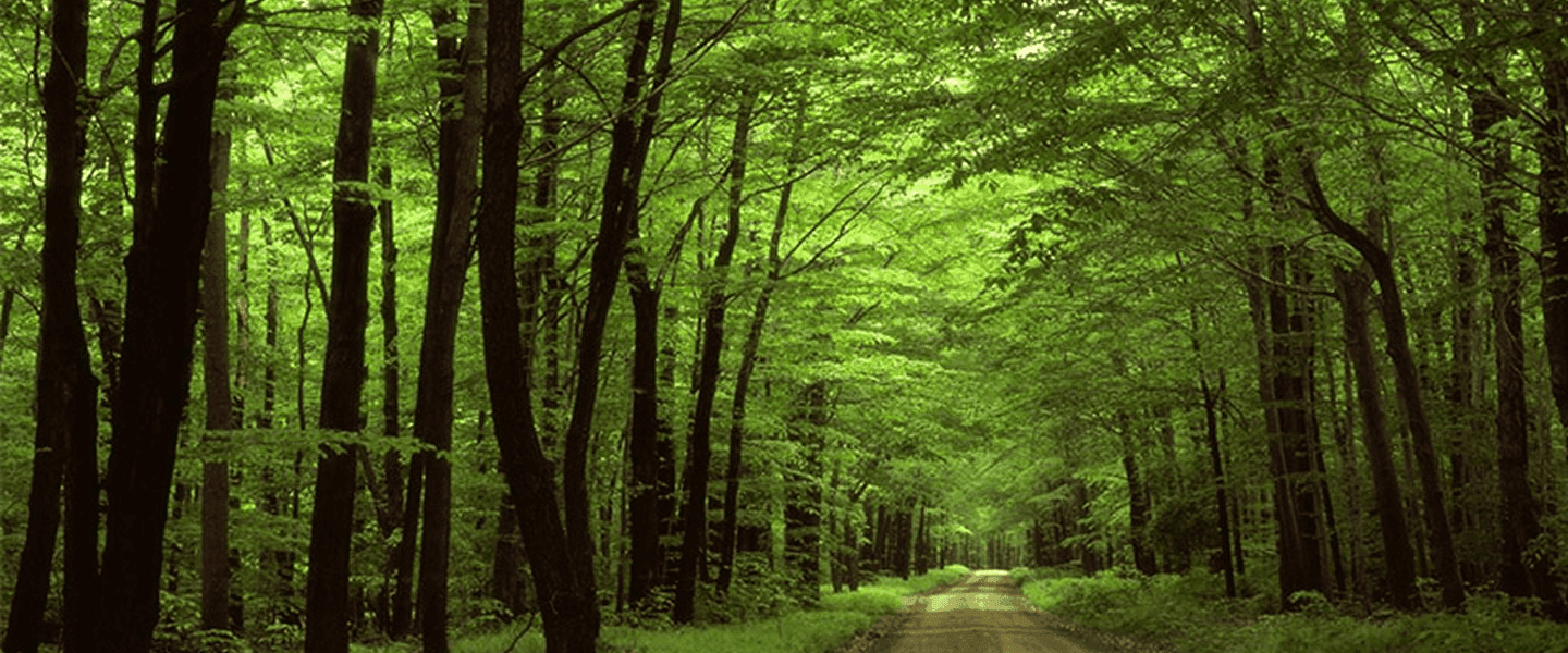 Green Living – A way of life