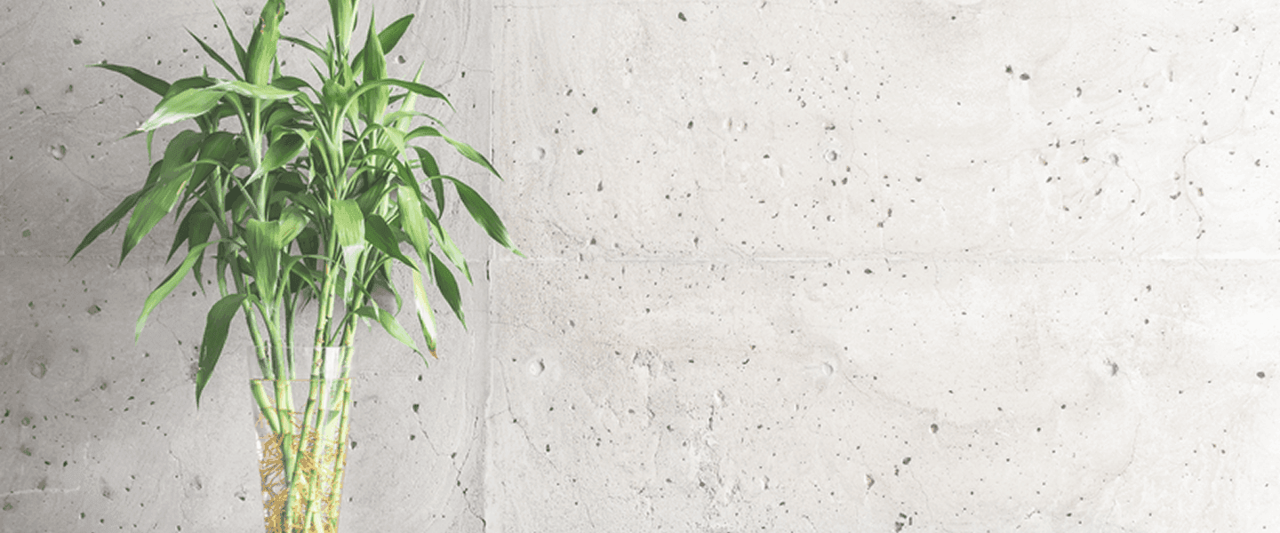 Cooler Homes, Happy Pockets!